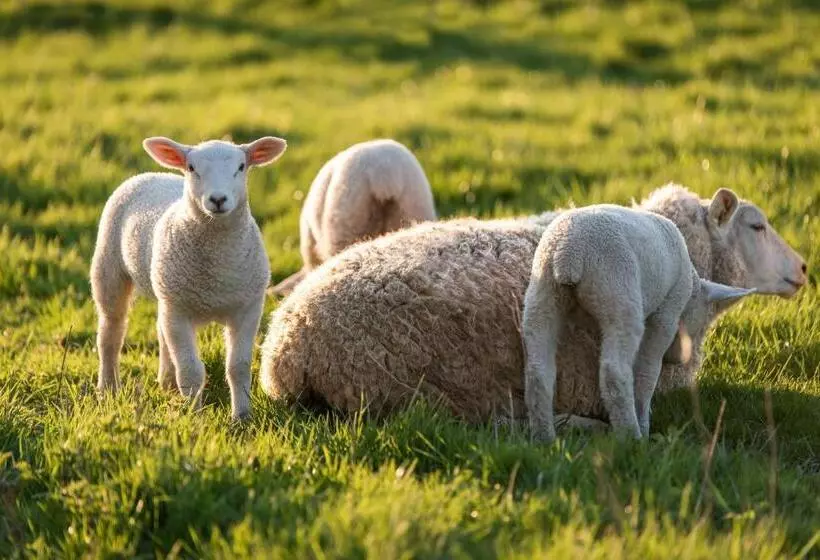 ホテル La Fattoria