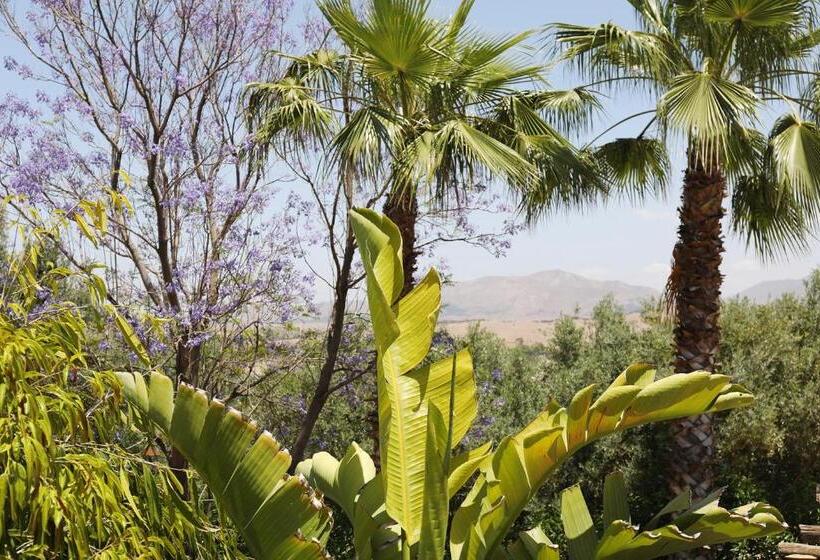 فندق Le Petit Hôtel Du Flouka
