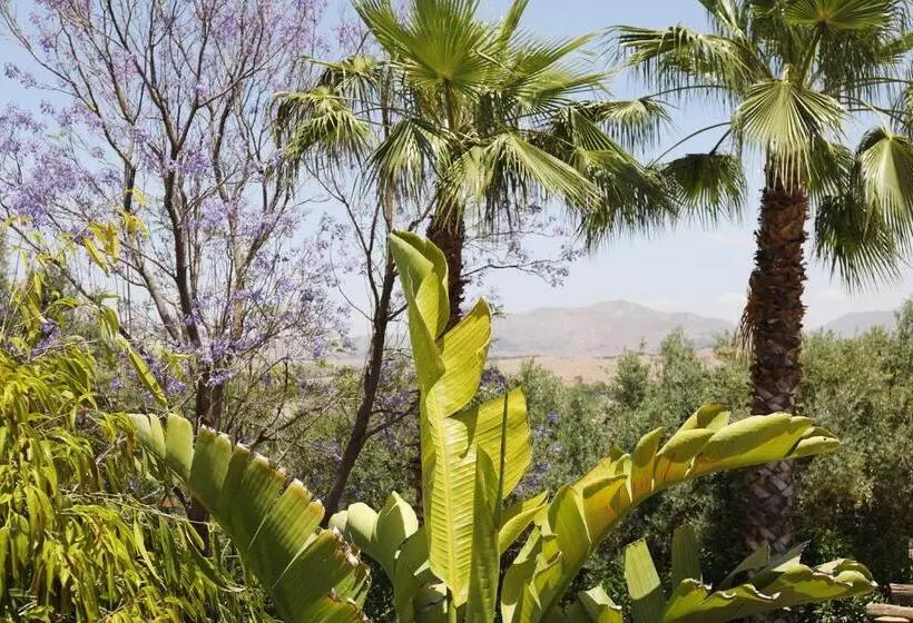 Hotelli Le Petit Hôtel Du Flouka