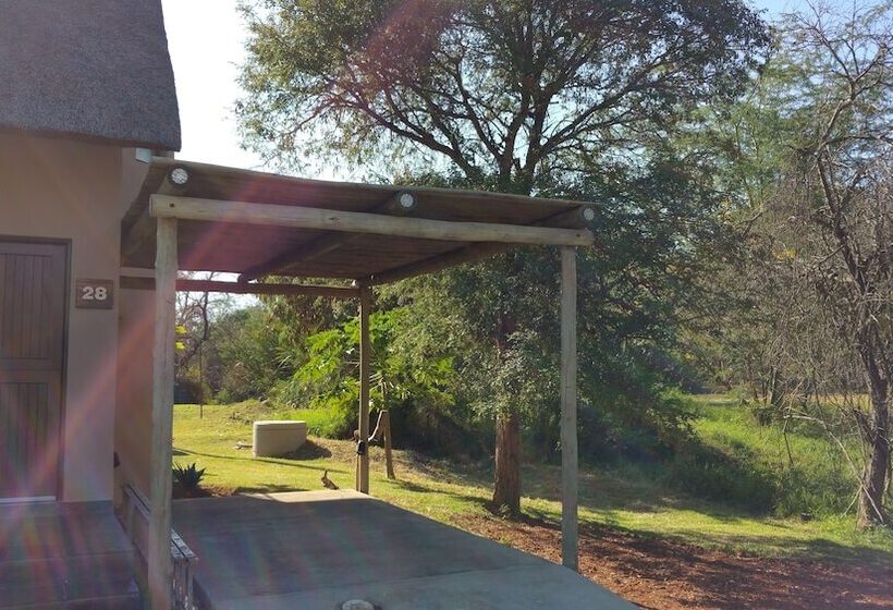 Raptors Wildlife Escapes