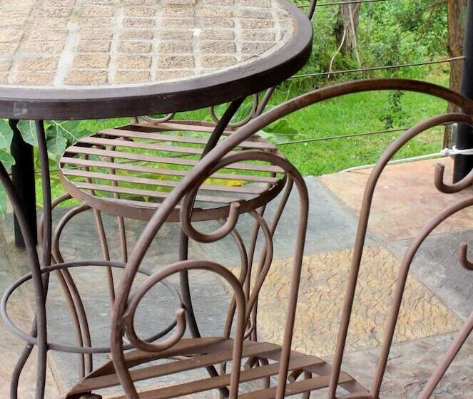 Raptors Wildlife Escapes