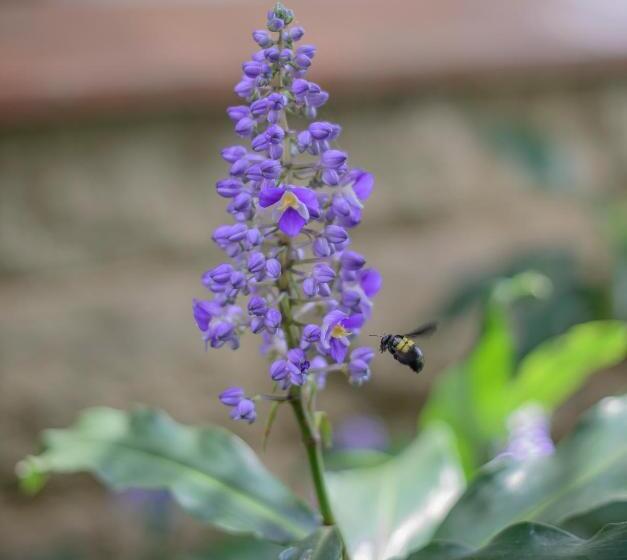 צימר Torburnlea Homestead Luxury Accommodation