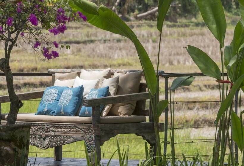 Villa Kouru By Exotiq Villa Holidays