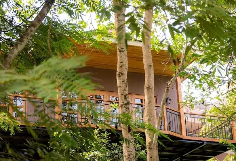 هتل Chimpundu Lodge