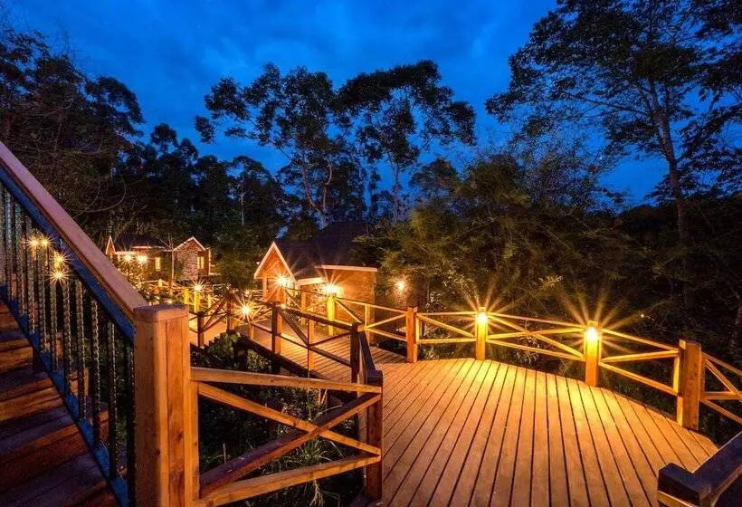 هتل Chimpundu Lodge