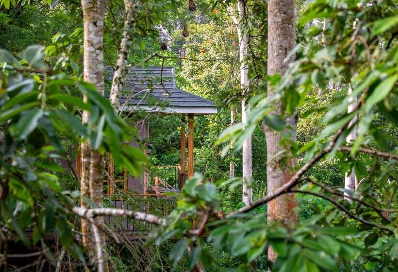 هتل Chimpundu Lodge