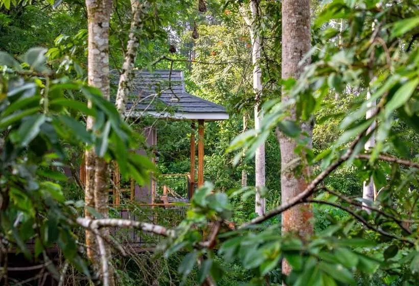هتل Chimpundu Lodge