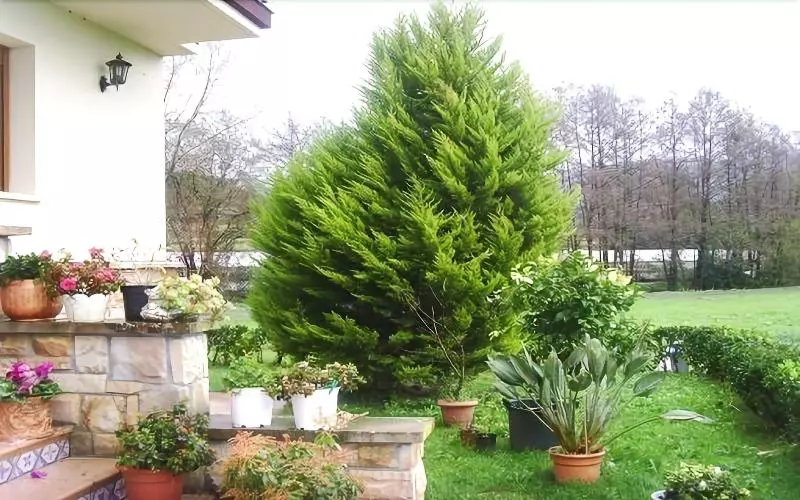 Agroturismo Ibarrondo Etxea