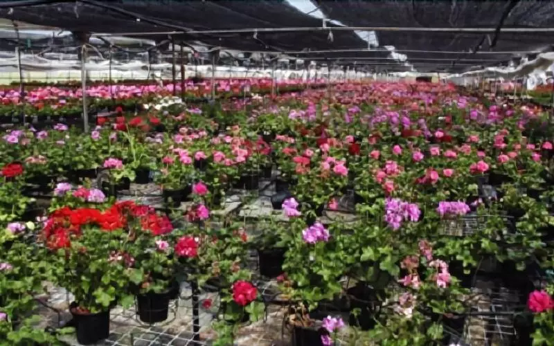 Agroturismo Ibarrondo Etxea