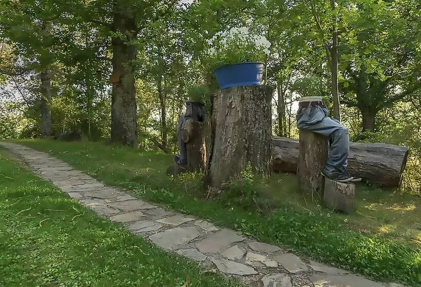 Cabañas De Madera Sanabria