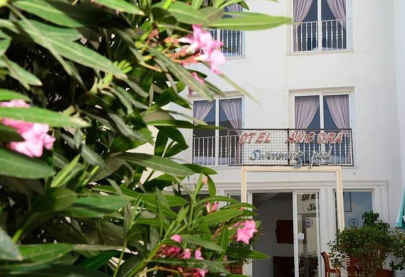 فندق Angora