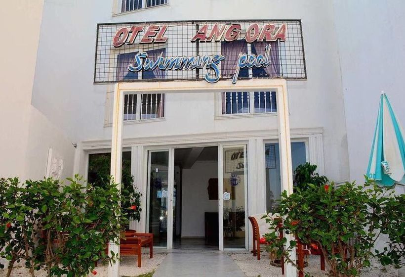 فندق Angora