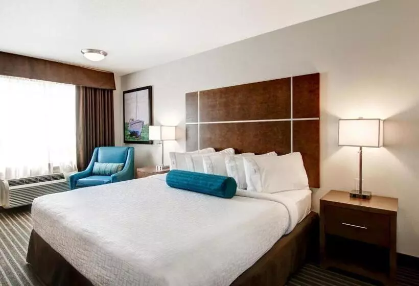 Hotel Canalta Martensville