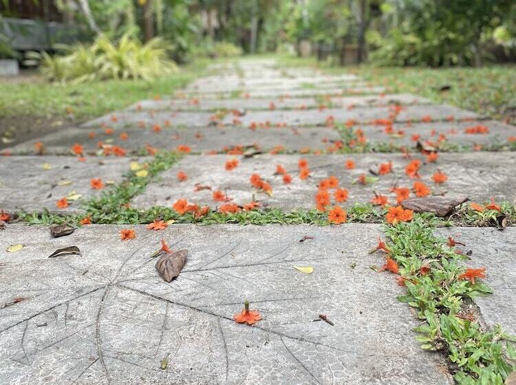 فندق Grand Manita Beach Resort