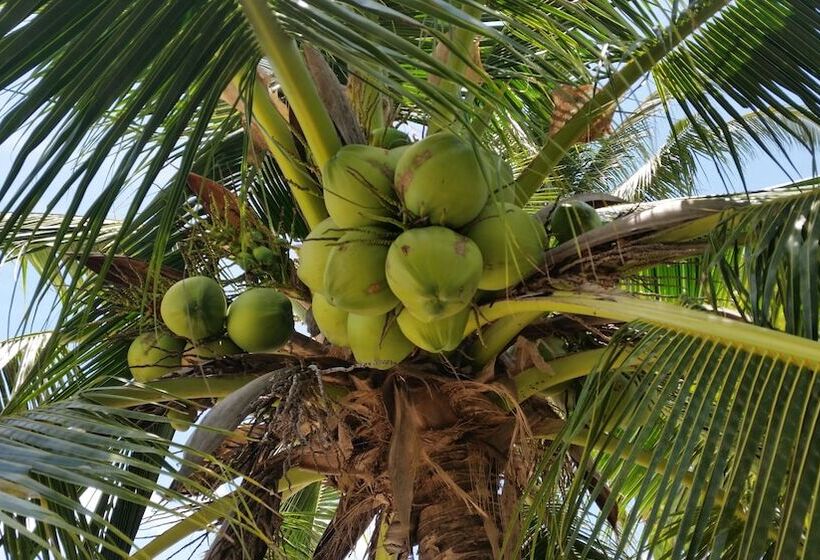 فندق Grand Manita Beach Resort