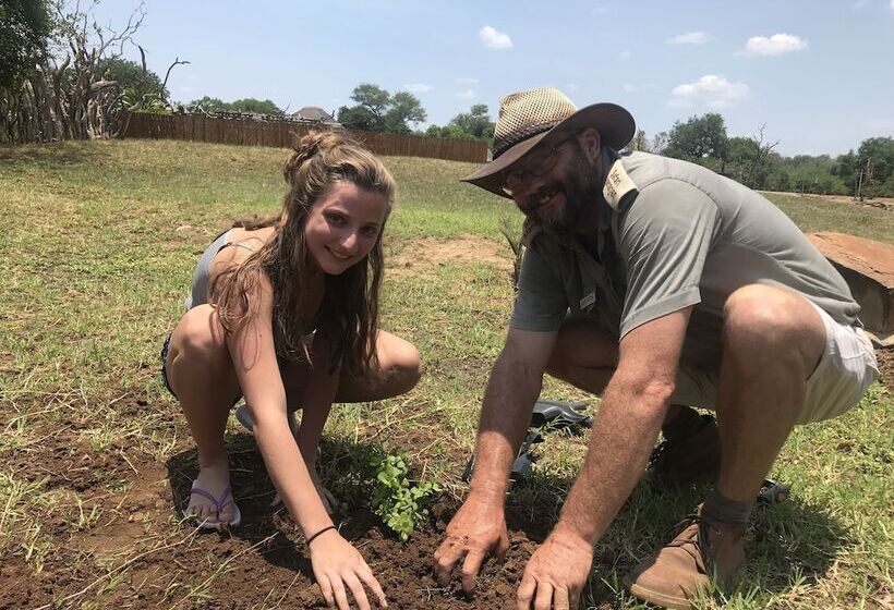 בית מלון כפרי Karongwe Portfolio   Karongwe River Lodge