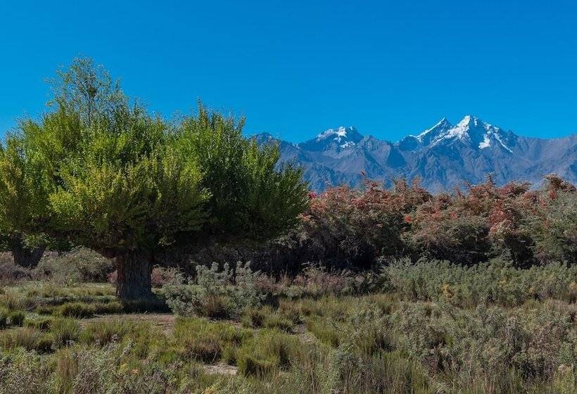 هتل Lchang Nang Retreat  The House Of Trees