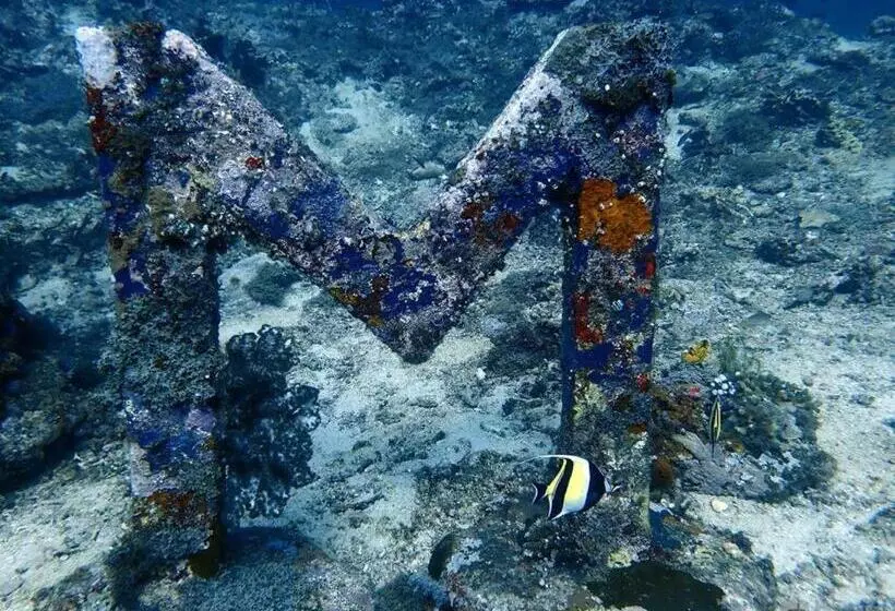 Hotelli Oceans 5 Dive Resort