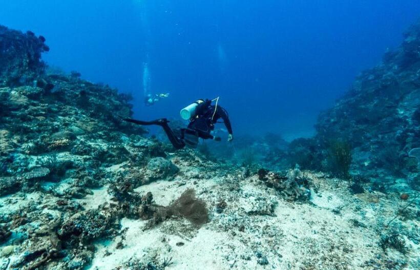 בית מלון כפרי Oceans 5 Dive Resort