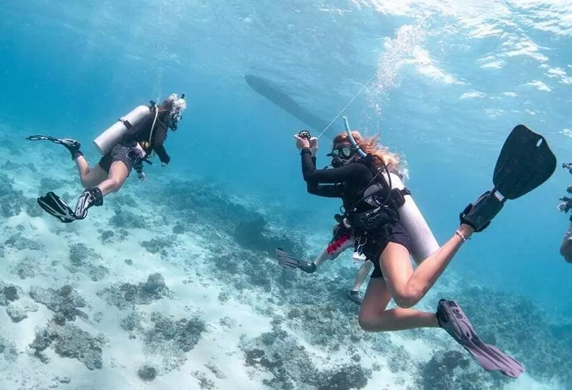 Hotelli Oceans 5 Dive Resort