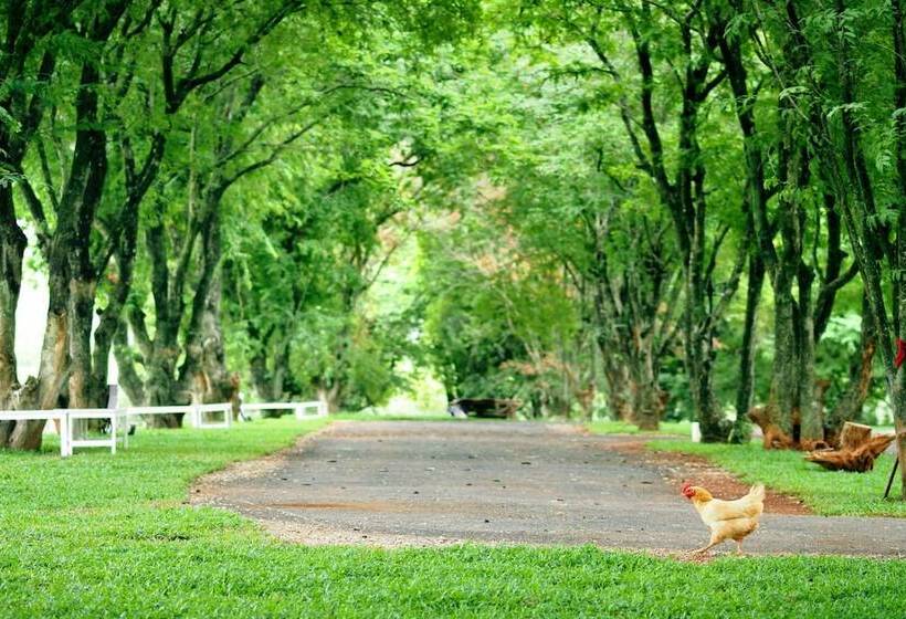 בית מלון כפרי Santosha Health & Lifestyle Resort