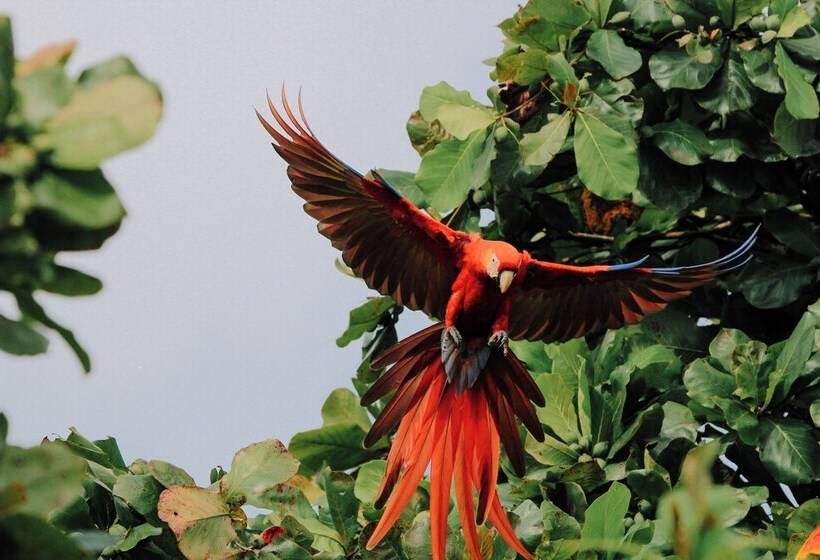 בית מלון כפרי Surf Synergy All Inclusive Surf Retreat