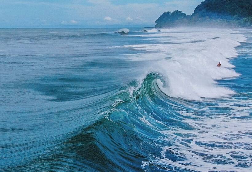 בית מלון כפרי Surf Synergy All Inclusive Surf Retreat