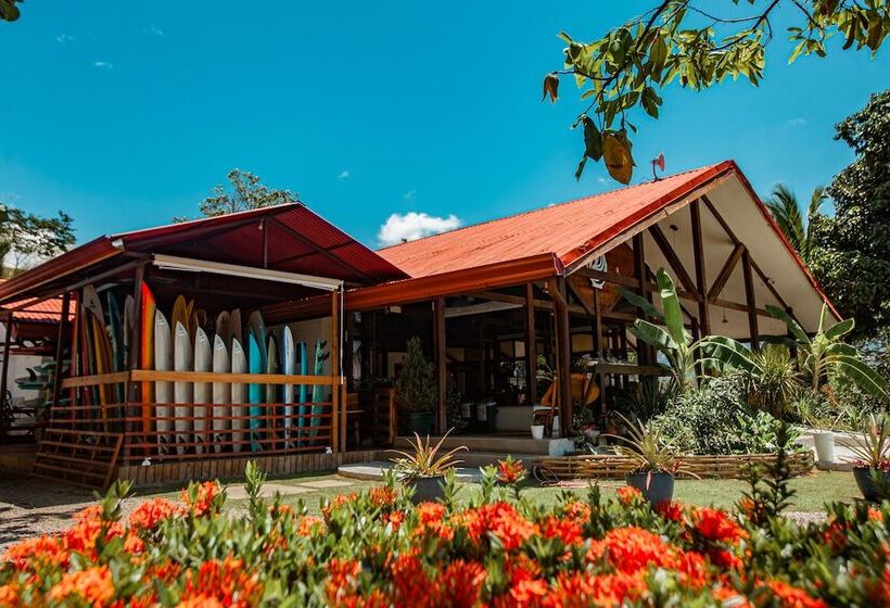 בית מלון כפרי Surf Synergy All Inclusive Surf Retreat