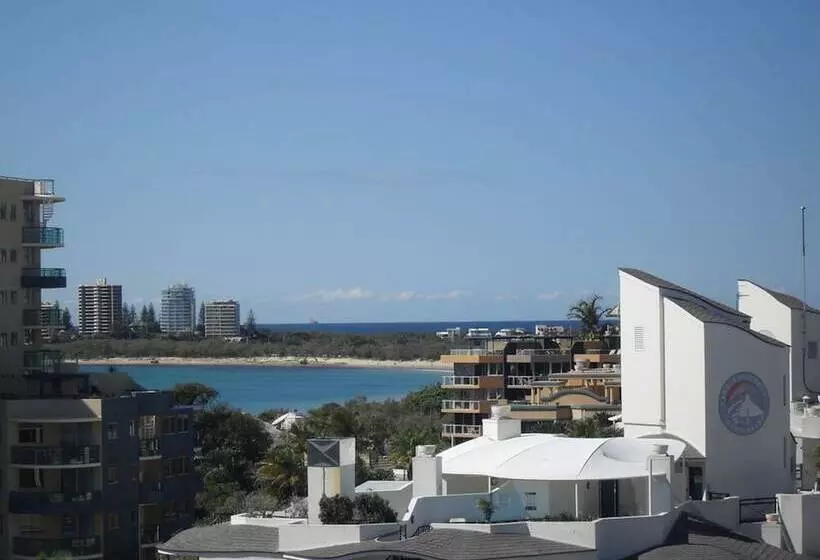 Pandanus Mooloolaba