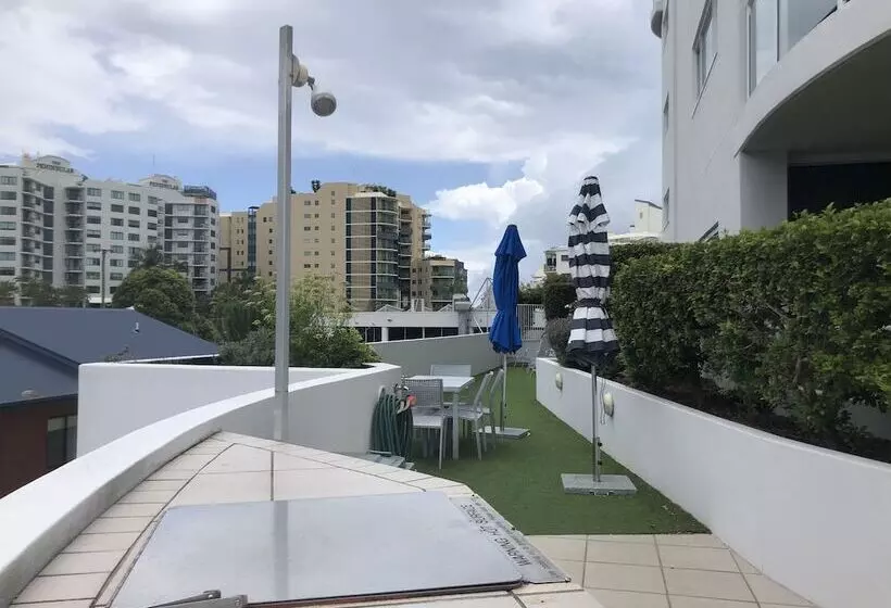 Pandanus Mooloolaba