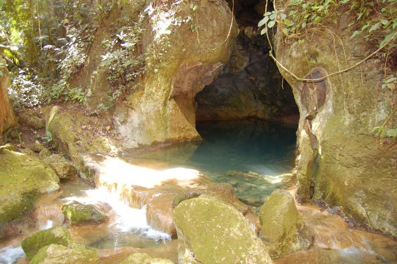 酒店 Table Rock Jungle Lodge