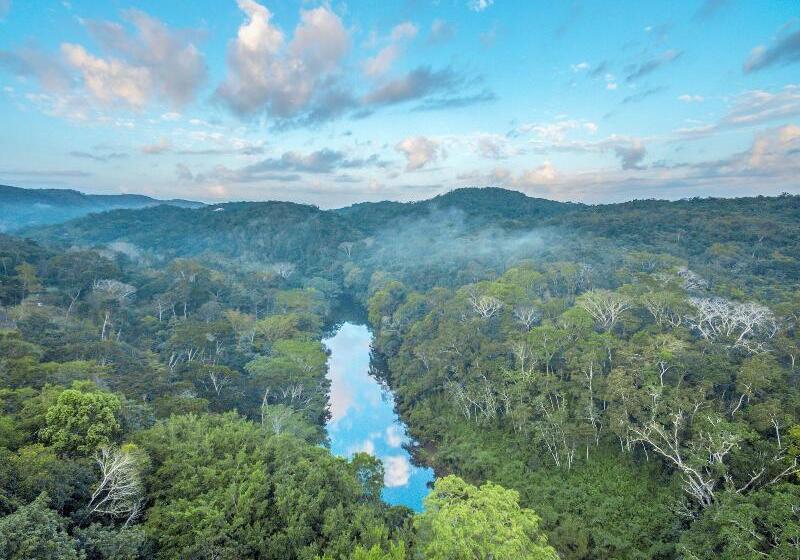 酒店 Table Rock Jungle Lodge