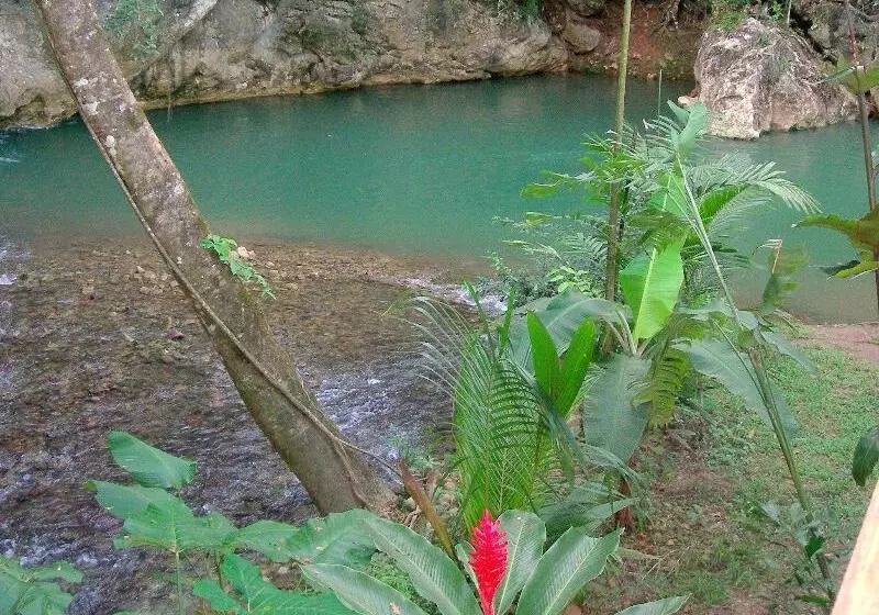 Hotelli Table Rock Jungle Lodge