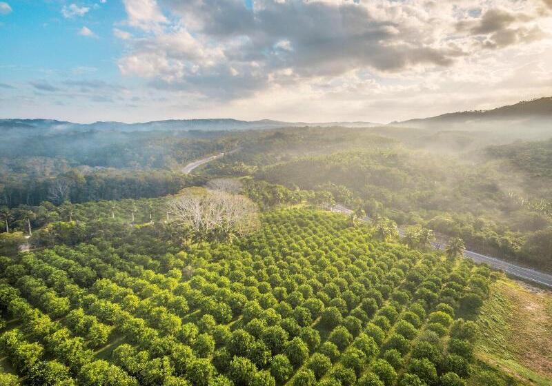 酒店 Table Rock Jungle Lodge