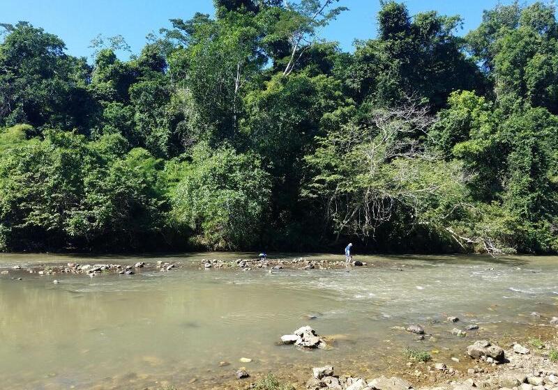 酒店 Table Rock Jungle Lodge