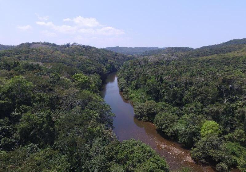 酒店 Table Rock Jungle Lodge