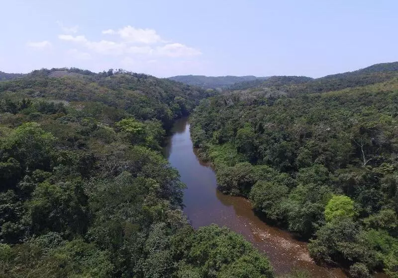 Hotelli Table Rock Jungle Lodge