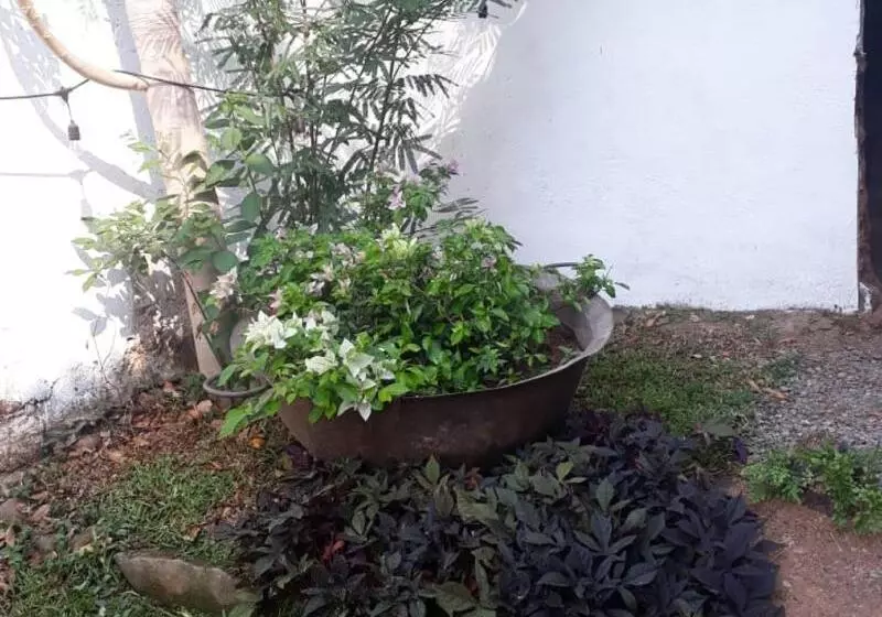 ペンション Casa 1800 Suchitoto