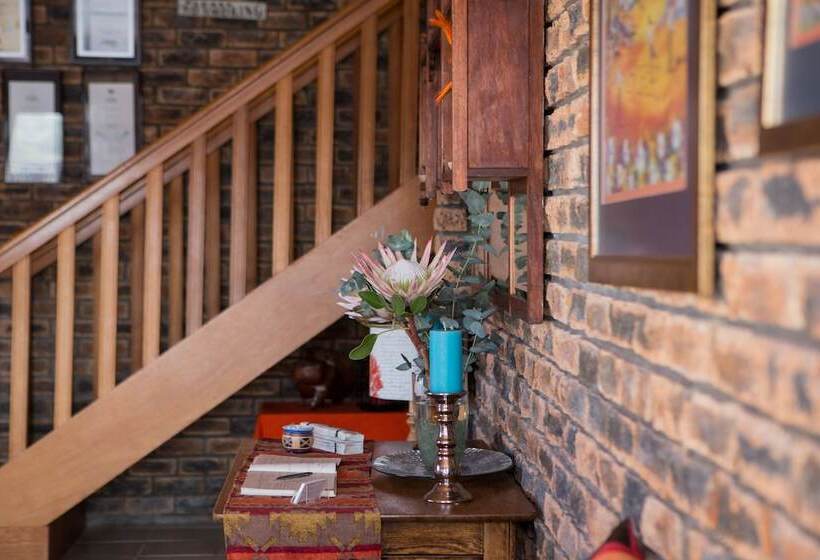 بنسيون White Shark Guest House