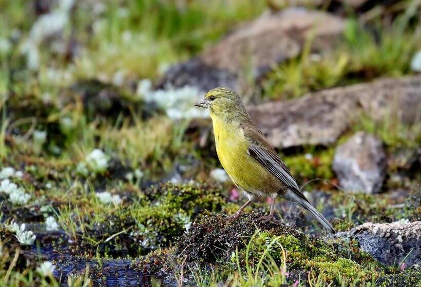 Tenahead Lodge & Spa