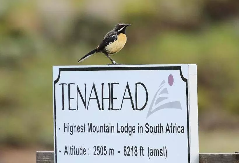 Tenahead Lodge & Spa