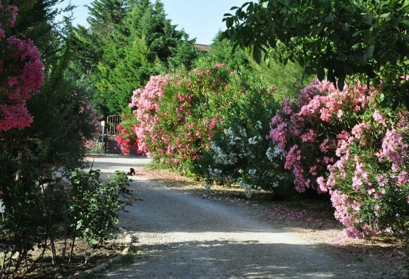 住宿加早餐 La Ferme De Tonton Jules Et Mamé Julia