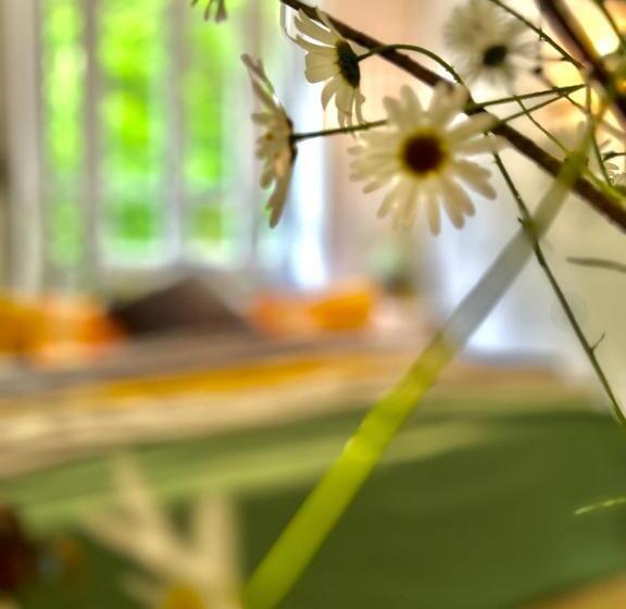 Bed and Breakfast Le Chambon, Chambres D Hôtes