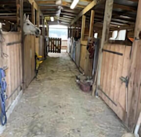 Пансион Gites Du Tuco