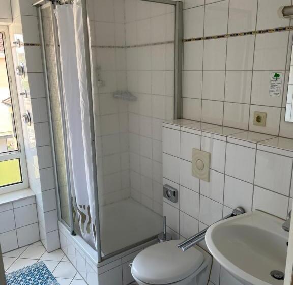 Отель City Pension