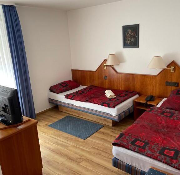 Отель City Pension