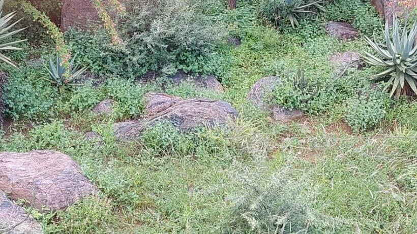 پانسیون Mmathaba Guest House