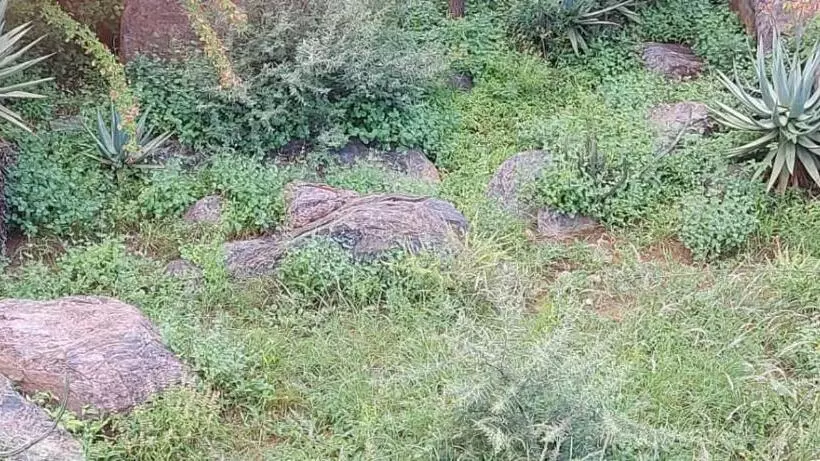 پانسیون Mmathaba Guest House