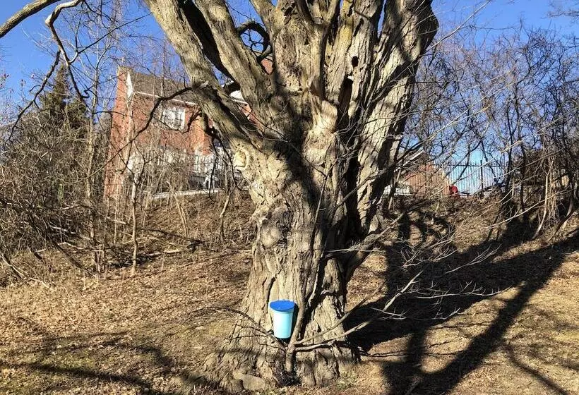 Aamiaismajoitus (B&B) Caledon Manor And Country Inn