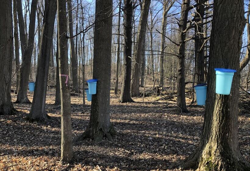 مبيت وإفطار Caledon Manor And Country Inn